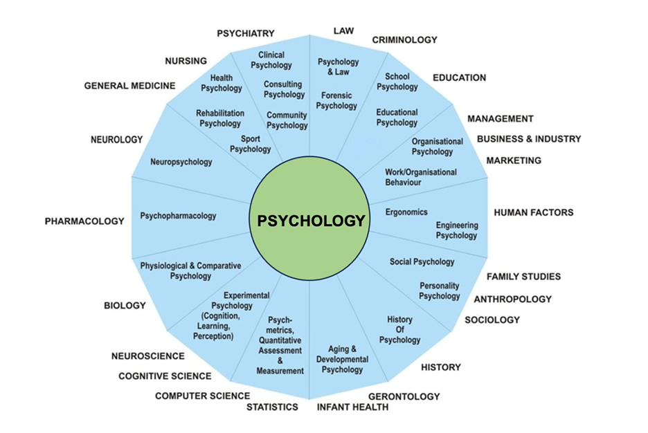 Updated Career Options Chart